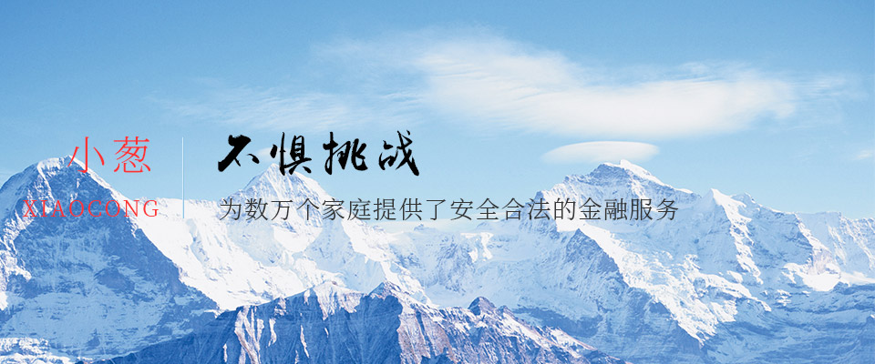 集团简介