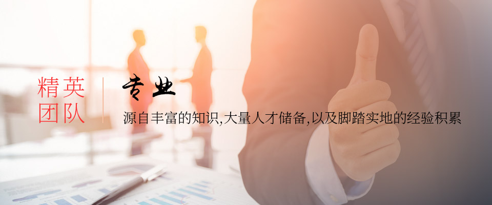 精英团队
